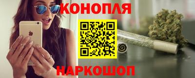 стаф Гудермес