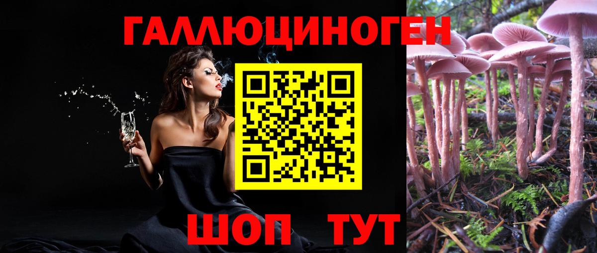 Благодарный  где найти   Вход с VPN  Псилоцибиновые грибы Magic Shrooms 